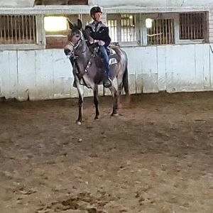 Meet your Posher, Leslie ann